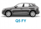 Q5 FY